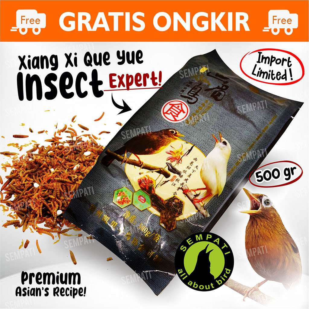 SEMPATI Pakan Burung Murai Wambi Pur Voer Import Xiang Yi Que Yue Abu Makanan Burung Hwamei Hwa Mei 
