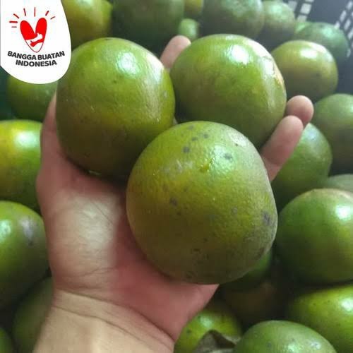 

Jeruk Jember Semboro Jumbo Fresh Manis 1kg(Isi 8-9buah) - Savina Buah88