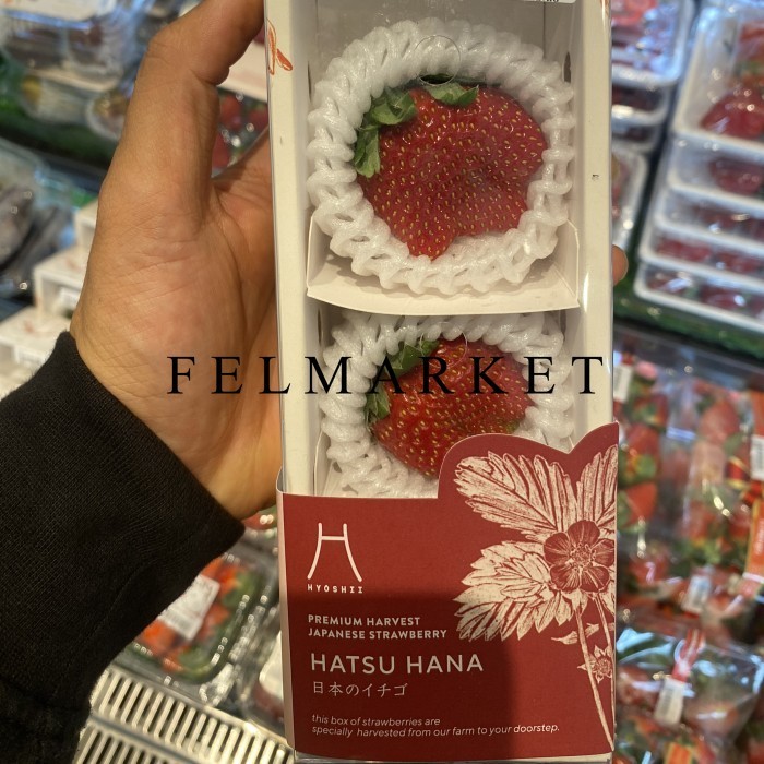 

Strawberry Hyoshi Bibit Jepang 2 Pcs / Buah Strawberry Jepang / Pack
