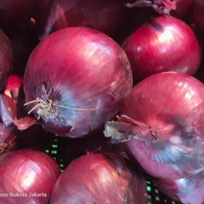 

Promo Bawang Merah Tunggal Besar 500gr terlaris