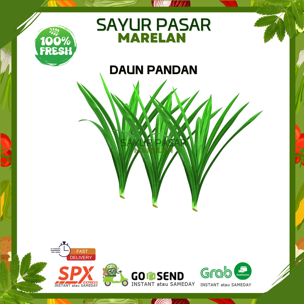 

Daun Pandan 1 Ikat