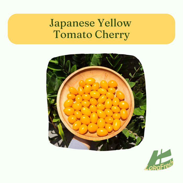 

Tomat Cherry Kuning Yellow Tomato Cherry