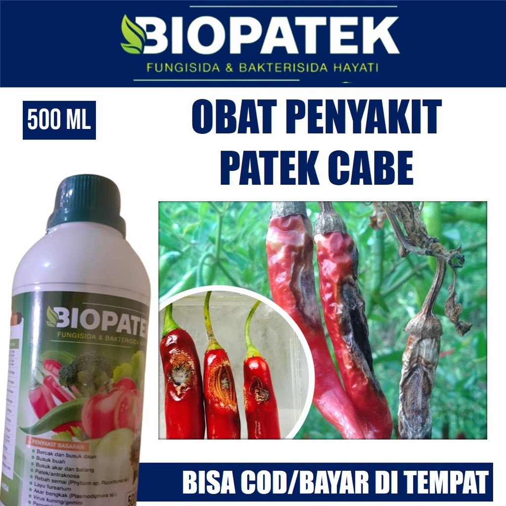 500 ml BIOPATEK Fungisida Hayati obat no-patek untuk cabe - obat rontok cabe- obat patek busuk cabai