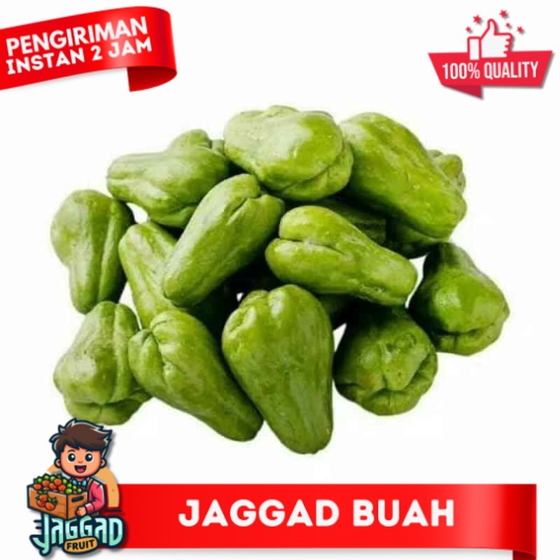 

Sayur Sayuran Jipang Baby / Labu Siam Baby / Jipang Lalap / Labu Siam Kecil Segar dan Fresh