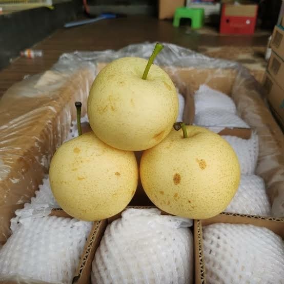

Savina Buah88 Buah Pear Century Segar [KHUSUS INSTANT DAN SAMEDAY]