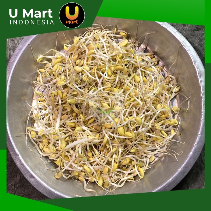 

U Mart - Toge / Tauge Kedelai 250 gram Kecambah Kedelai