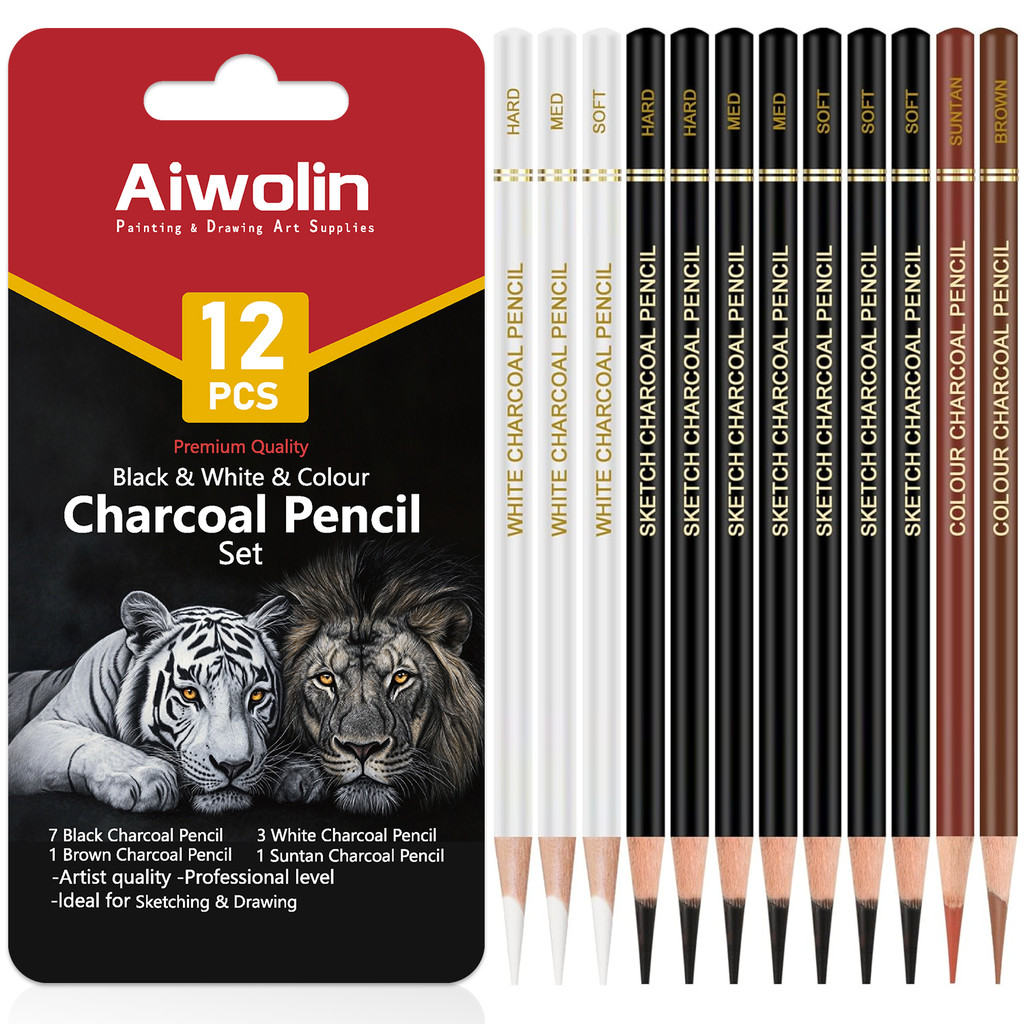 

Professional Colored Charcoal Pencils Drawing Set,12 Pieces Pastel Chalk Pencils for Sketching, Shading, Blending, Portrait.