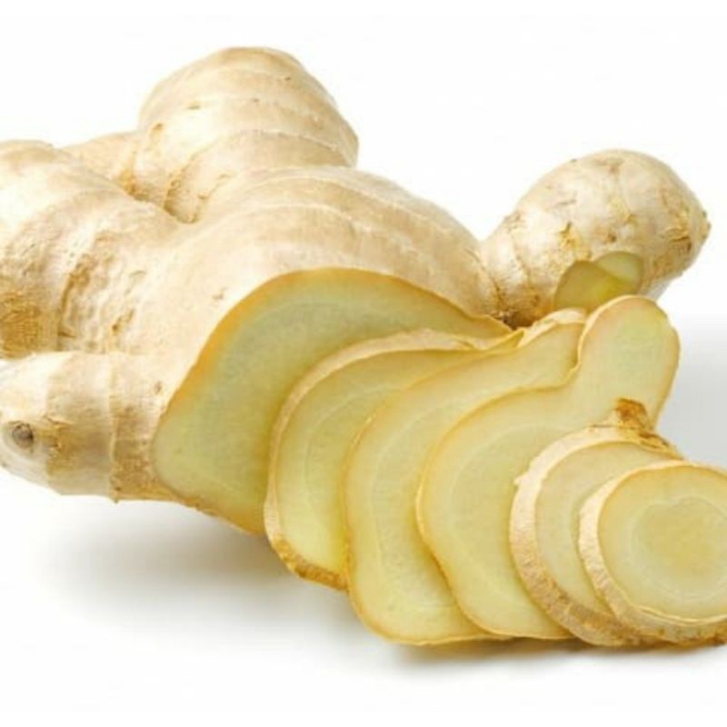 

COD temu putih/kunyit putih '