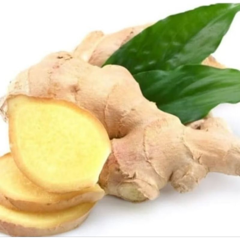 

1 kg /1000 gram JAHE GAJAH ASLI Fresh TERMURAH TERLARIS