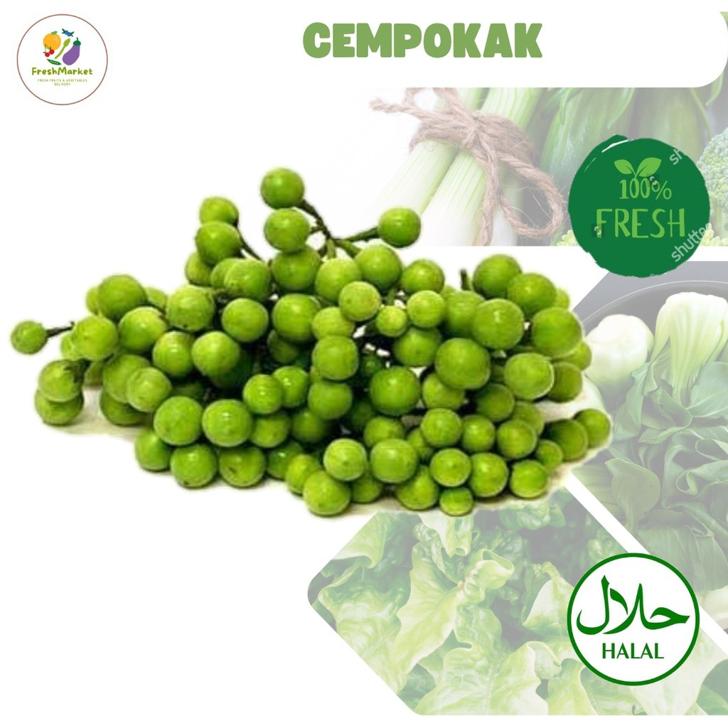 

Cempokak Sayur Lalap Segar 250 Gram Sayurinstant