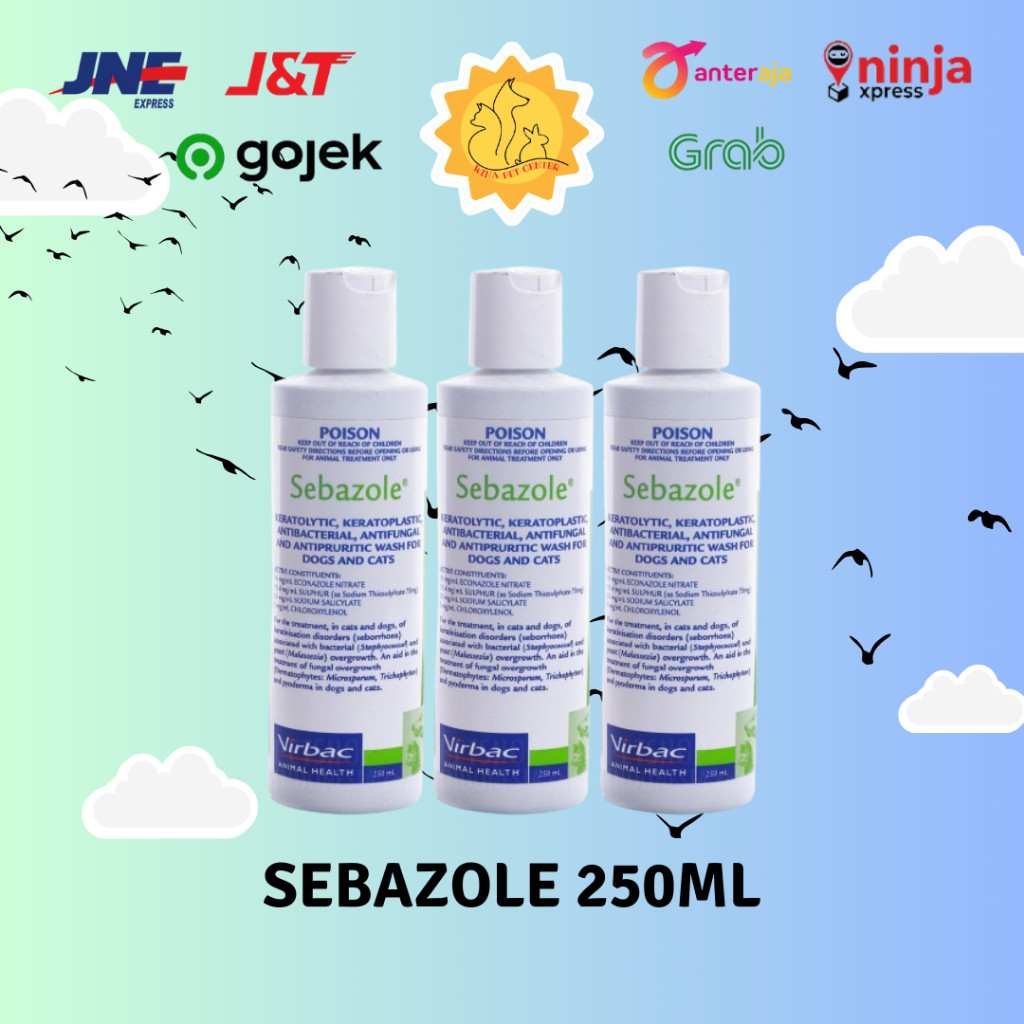 Harga Sebazole Shampoo Kutu Terbaru Nov 2025 | BigGo Indonesia