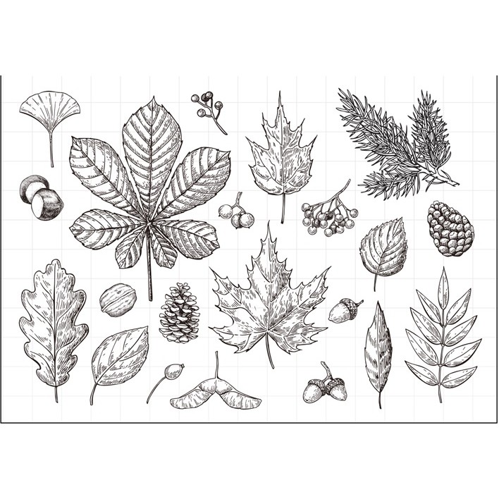 

Leaf stamp Clear Stamp for Scrapbooking Transparent Silicone Rubber DIY Photo Album Decor w128