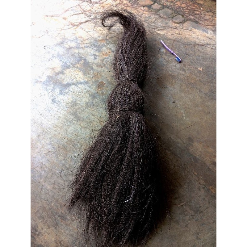 NEW... Ijuk aren super panjang /ijuk tebu cocok untuk kakaban/ijuk terlari/ijuk aren sisiran panjang