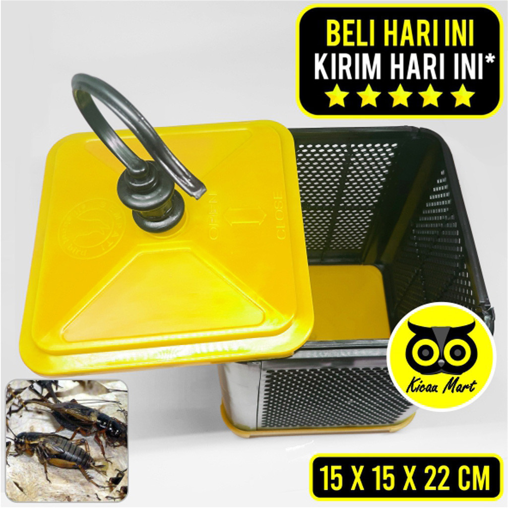 KICAU MART KANDANG JANGKRIK SEMPATI KOTAK JANGKRIK WADAH TEMPAT TERNAK JANGKRIK BELALANG ULAT DLL KJ