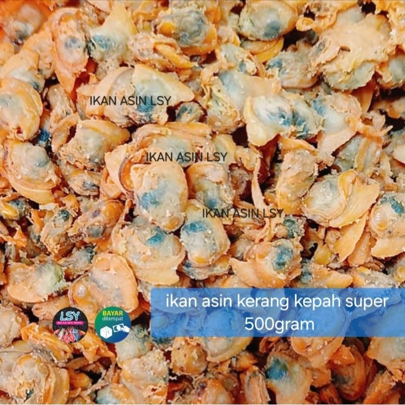 

Terlaris Ikan Asin Kerang Kepah Super 500gram