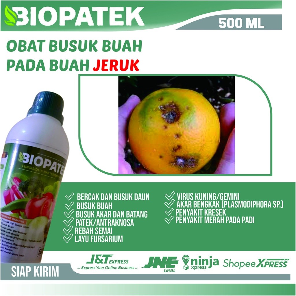 Racun Busuk Buah Pada Jeruk - BIOPATEK Bakterisida & Fungisida Hayati Atasi Busuk Buah Pada Jeruk - 