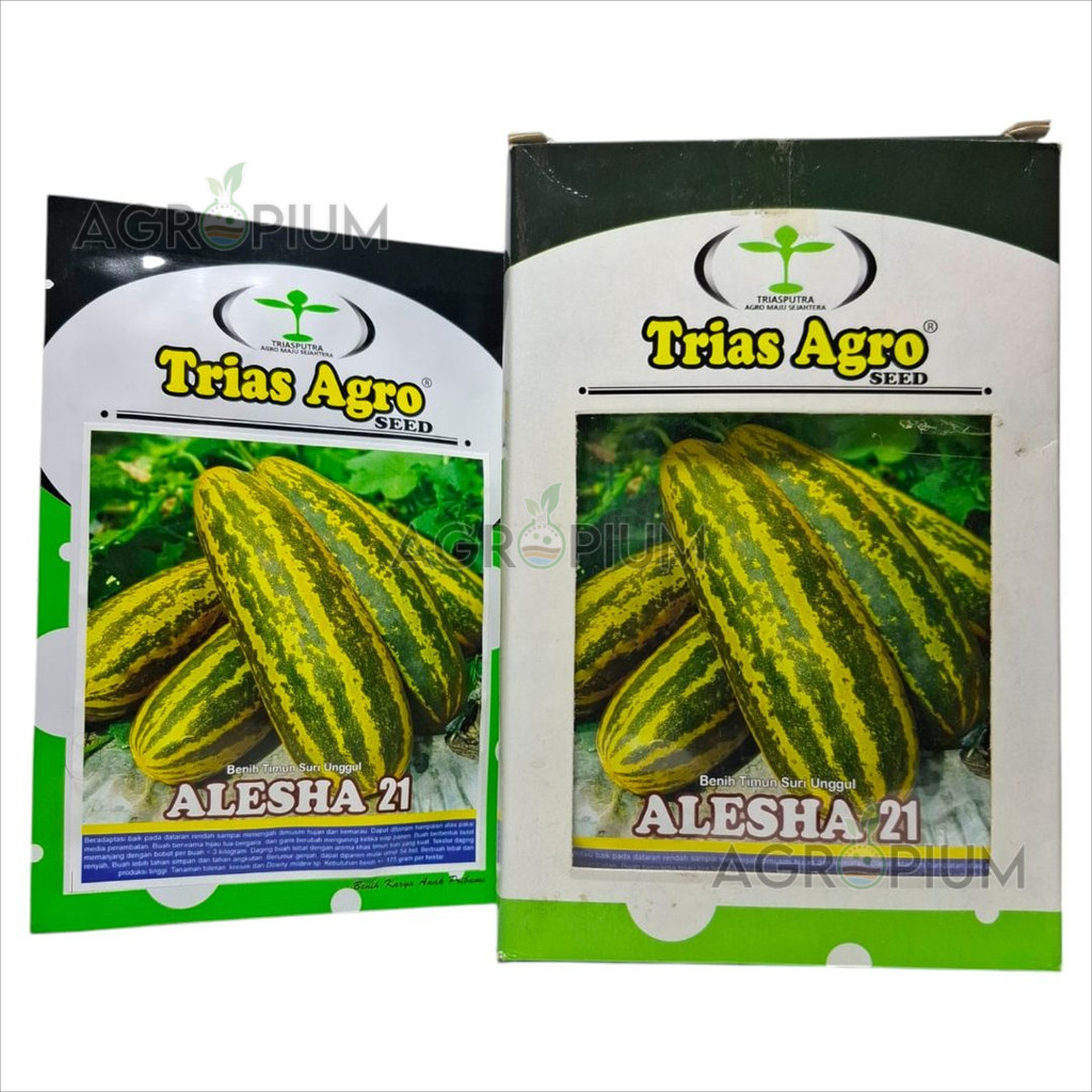Benih Timun Suri Loreng ALESHA 21 Isi 10 gram Trias Agro Seed