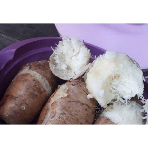 

UMBI GEMBILI 1KG Tradisional Umbi Umbian MURAH