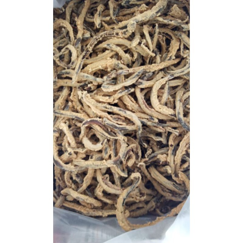 

TOFASHOP.ID peyek belut super enak gurih renyah asli godean yogyakarta