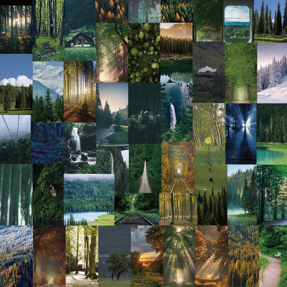 

62PCS Misty Forest Landscape Sticker Waterproof Decoration Scrapbook Label Diary Stationery Phone Luggage Gift Toy Decal