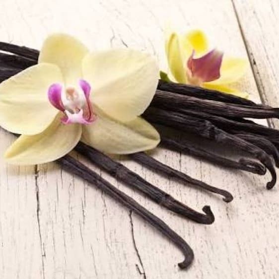 

Essense / Essence / Flavour / Perasa Vanila (100ml)