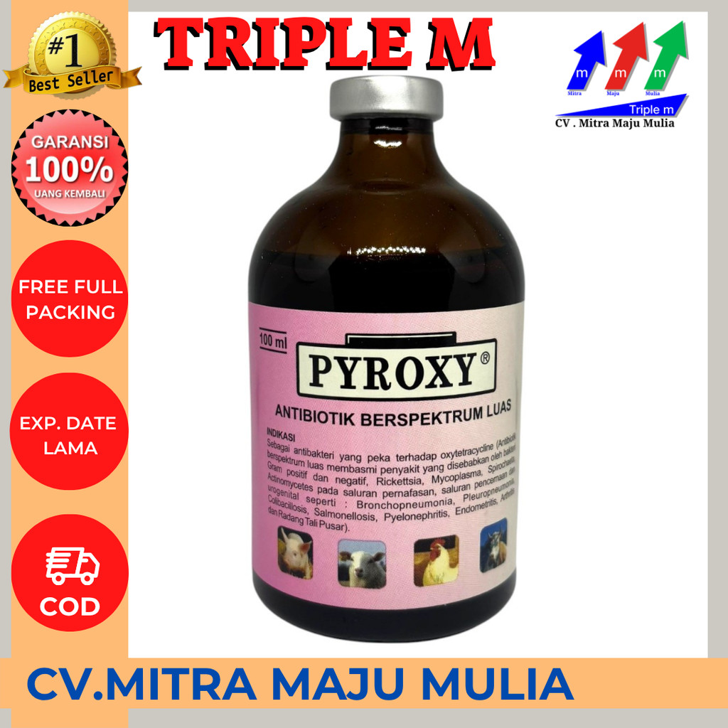 PYROXY antibiotik hewan