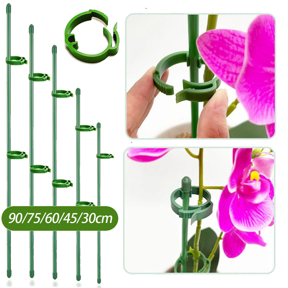 

90/60/30cm Plant Support Stakes Adjustab Garden Single Stem Flower Stand Plant Stick Support Potted for Plants Floral Vegetable