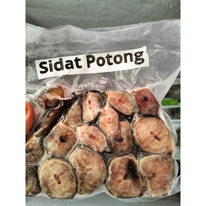 Laukku Ikan - Sidat Potong dan Sidat Fillet