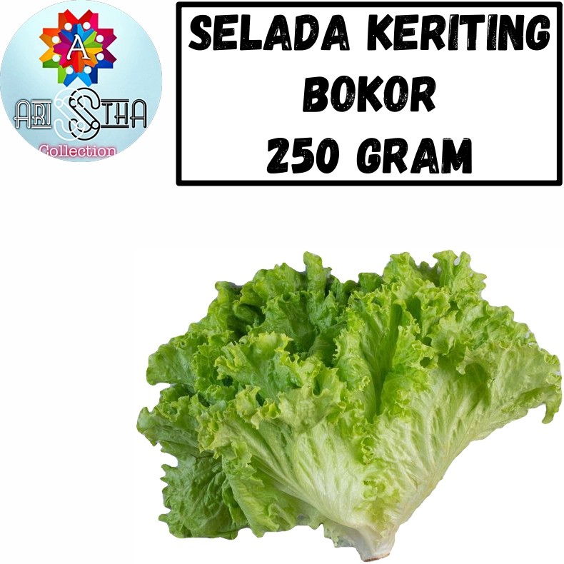 

Selada Keriting Bokor Sayur Segar 250 Gram