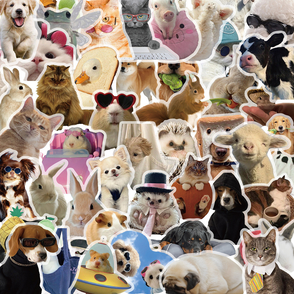 

10/30/50PCS Cartoon Cats Dogs Meme Transparent Sticker DIY Phone Laptop Luggage Skateboard Graffiti Decals Fun for Gift