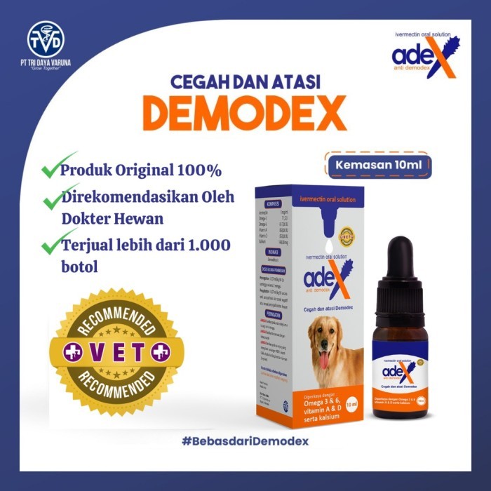 Obat anjing gatal sakit jamuran jamur koreng kudis demodex