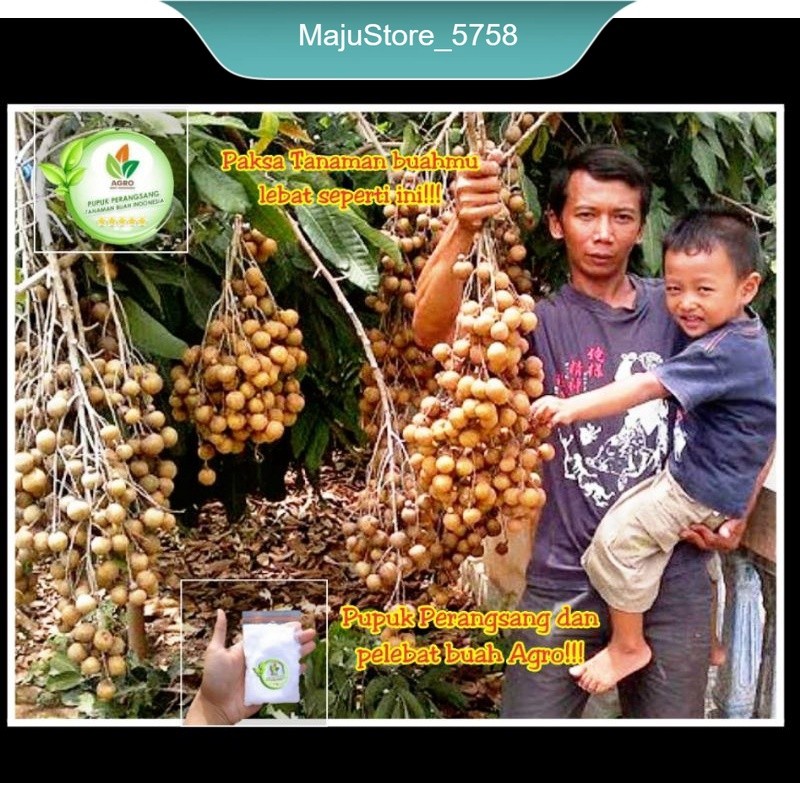 Pupuk pelebat buah/Pupuk perangsang buah/pupuk buah/pupuk penyubur buah/ agro bibit/grosir/pupuk bua