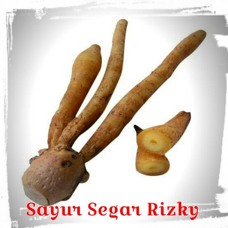 

Temu Kunci 100gr ready