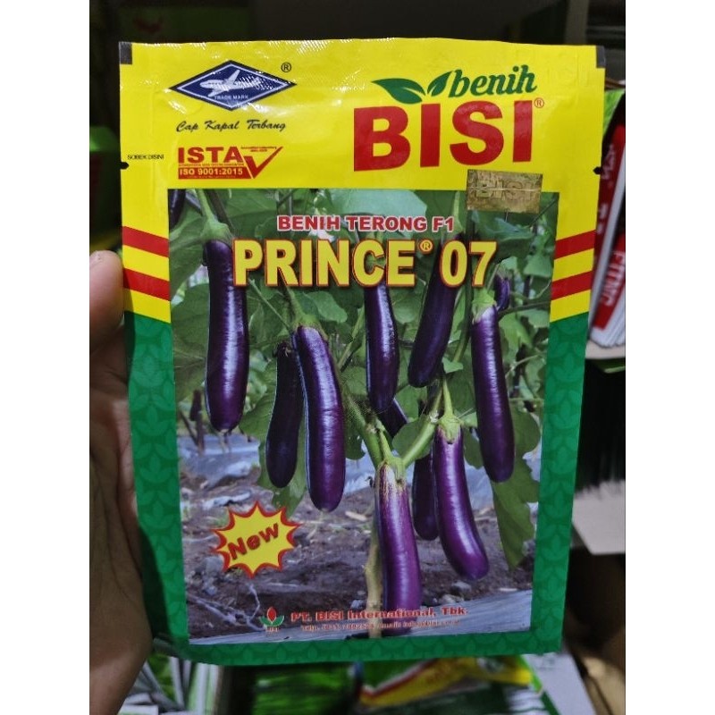 TT99 Benih terong PRINCE 07 10 gram terong ungu prince 07 dari bisi