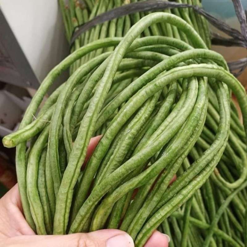 

kacang panjang fresh 1 kg