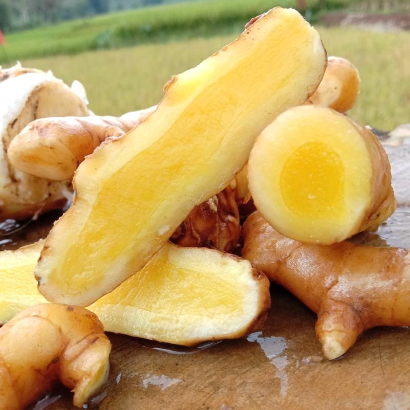 

KUNYIT MANGGA ATAU TEMU MANGGA 1KG CURCUMA MANGGA ready