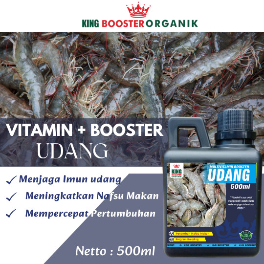 NUTRISI VITAMIN PROBIOTIK UDANG VANAME PAKAN UDANG 500ml
