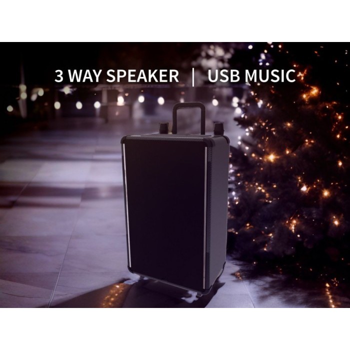 Sharp CBOX-TRB12CBL Active Speaker Trolley 12 Inch CBOX-TRB12CBL Battery