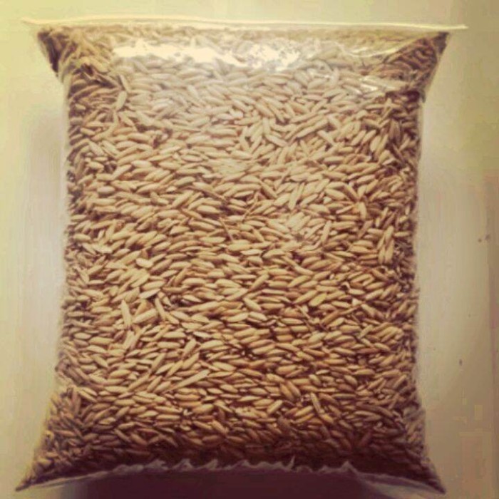 PADI KEMASAN PAKAN AYAM/GABAH BERAS MERAH 1KG - 250grm