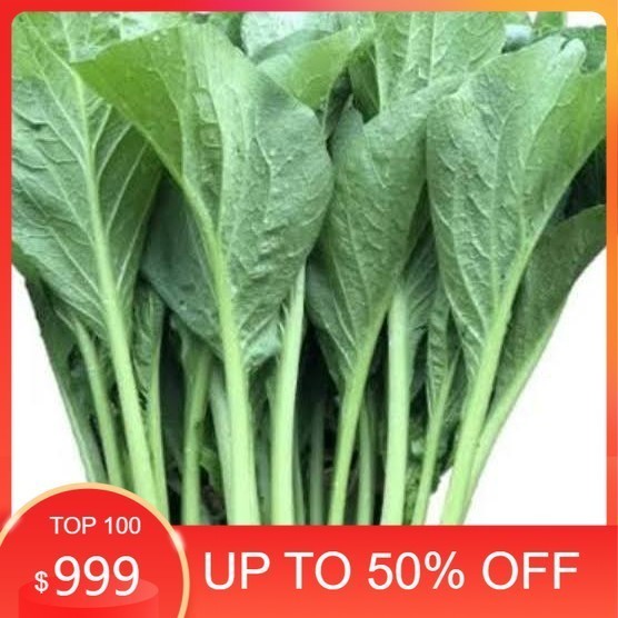 

LBJ Sawi Hijau Fresh Super 1kg