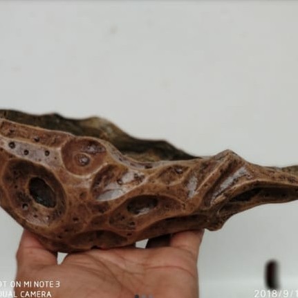 pot bonsai relief fiberglass unik/pot relief fiberglass