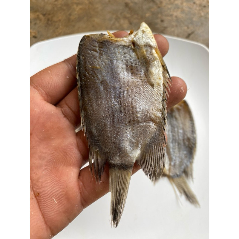 

TERMURAH ikan asin Tembakang/tambak air tawar kering = 250g/500g/1kg best seller