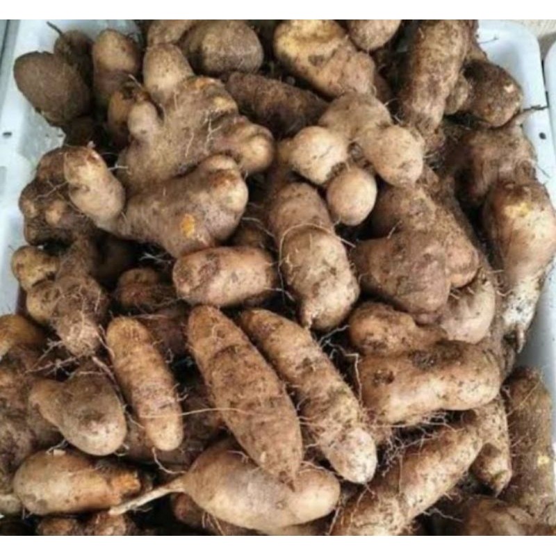 

ubi gembili / Bili makanan khas tempo doeloe.enak+pulen 500gram
