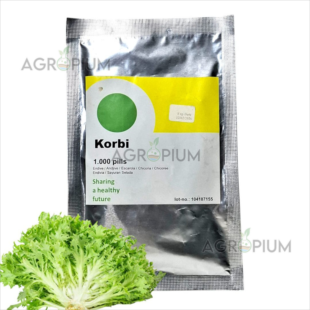 Benih Selada Endive Korbi Rijk Zwaan 1000 Pils Kemasan Original Lettuce Endive
