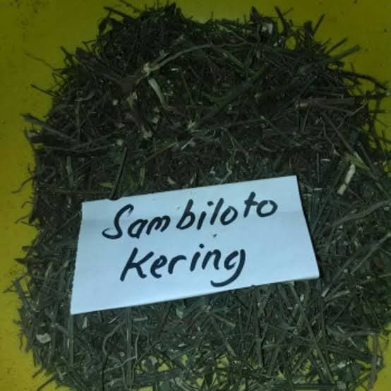 

Daun Sambiloto Kering (500gr) / Obat Herbal Kencing Manis
