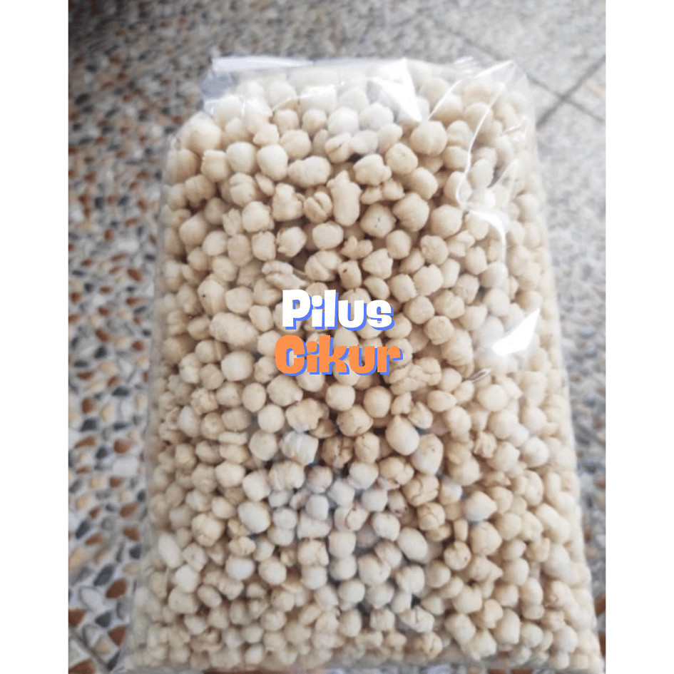 

Gratis Ongkir pilus seblak toping seblak cikur 1kg sukro cikur tiktak cikur