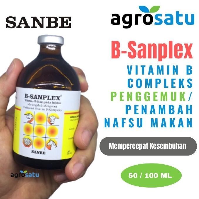 READY STOK Vitamin B Complex Hewan B Sanplex Injeksi 100ml Sanbe / Vit