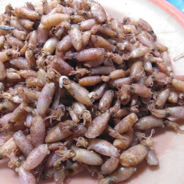 Baby Cumi Medan Asin 100gr | Sayur Segar Medan