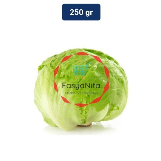 

Head Lettuce Organik 250 gr - Fasyanita Denpasar