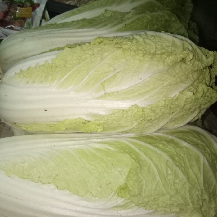 

Sawi Putih 500gr / Sayur Sayuran Curah - 1/2 kg